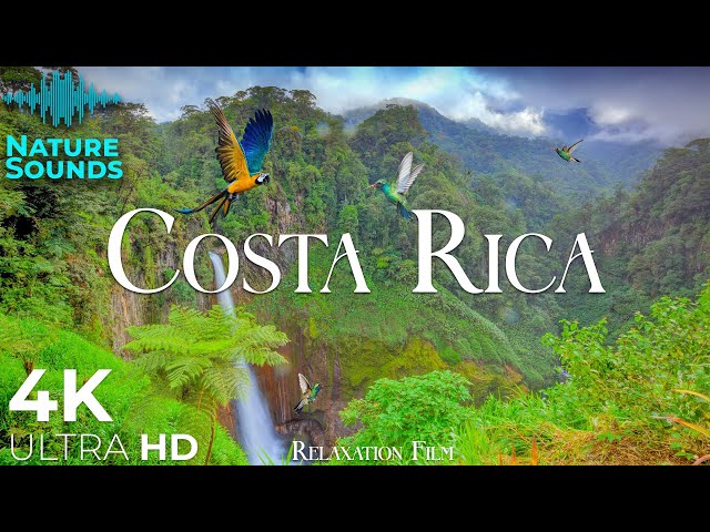Costa Rica • Forest 4K Relaxation Film • Peaceful Relaxing Music • Nature 4k Video UltraHD