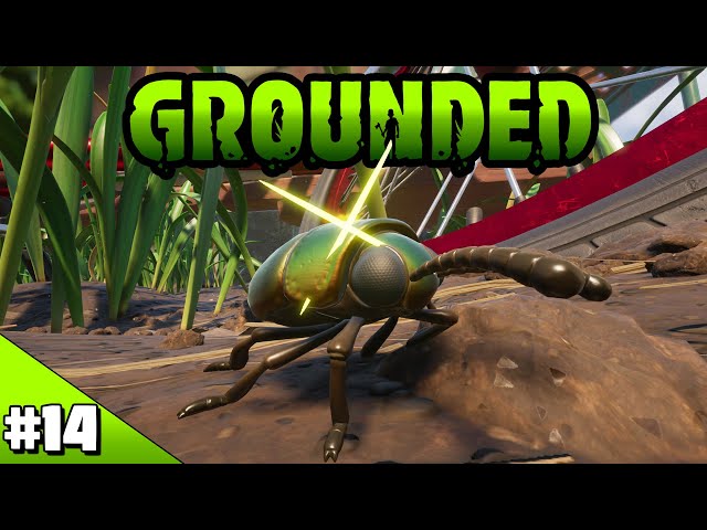 76% Of Players Can't Kill This Bug! - Grounded Episode 14
