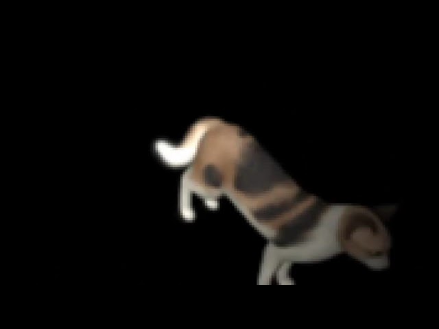 Low Quality Aggressively Spinning Cat (Original Version)