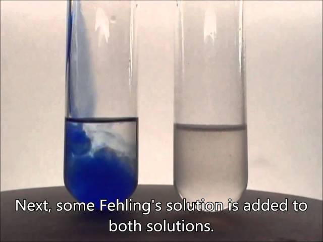 Chemistry experiment 33 - Fehling's test