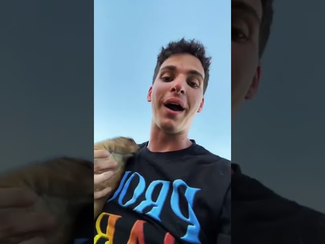 How to Catch a Prairie Dog (hands only)