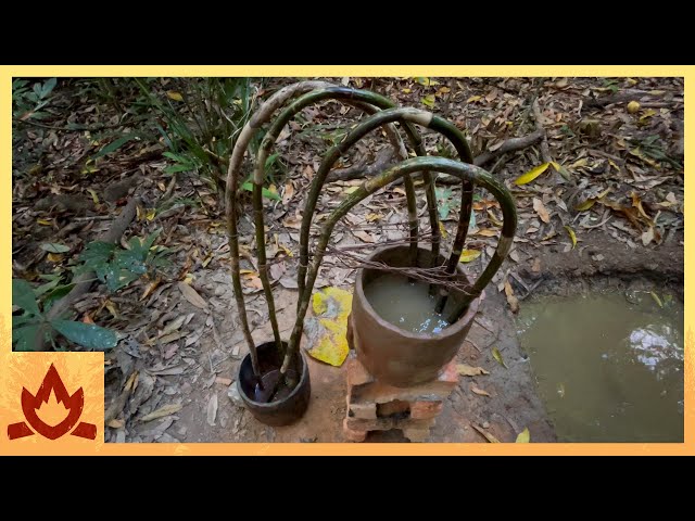 Primitive Technology: Cane Water Filter/Siphon