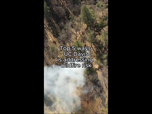 Top 5 ways UC Davis is addressing wildfire risk