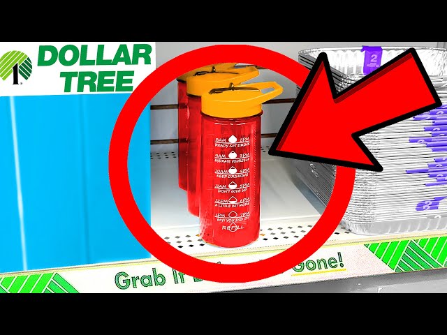 10 Things You SHOULD Be Buying at Dollar Tree in September 2023
