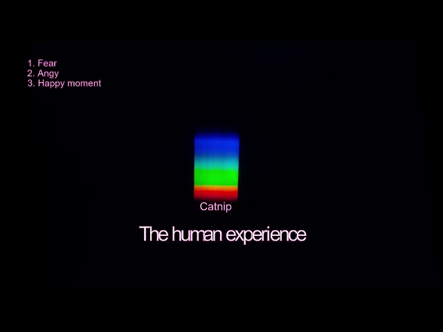 [FULL EP] Catnip - The Human Experience