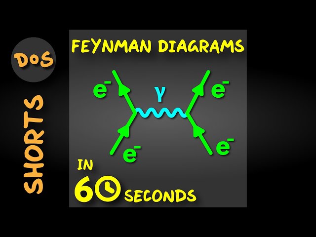 Can I Explain Feynman Diagrams In 60 Seconds? #shorts