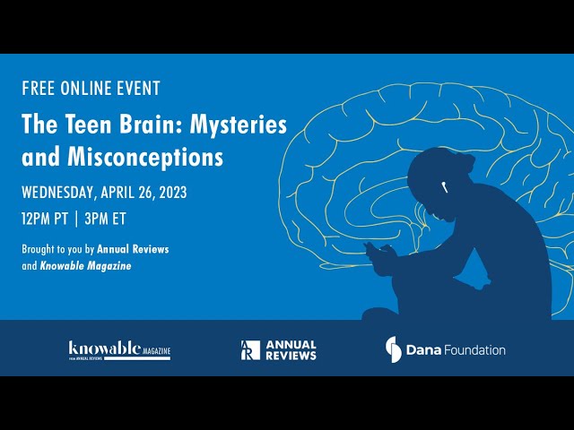 The teen brain: Mysteries and misconceptions
