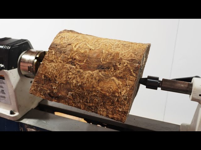 Woodturning | The Wormiest Firewood!