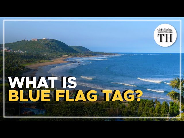 What is Blue Flag tag?