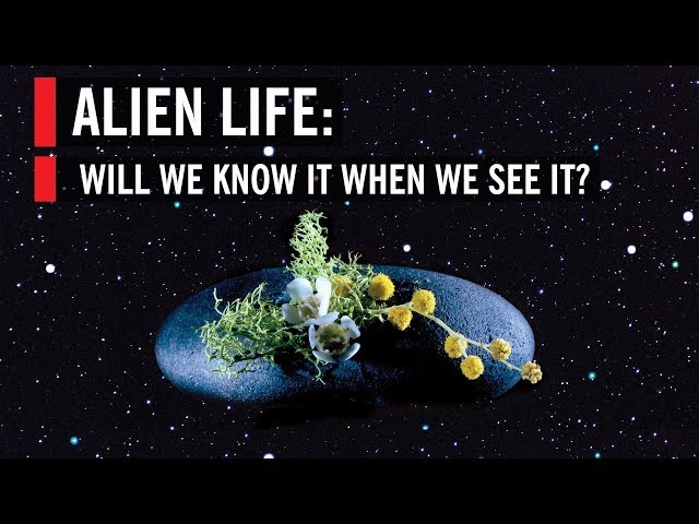 Alien Life: Will We Know It When We See It?