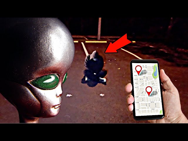 TERRIFYING RANDONAUTICA EXPERIENCE - STALKED AND FOLLOWED (ALIEN HUNTING)