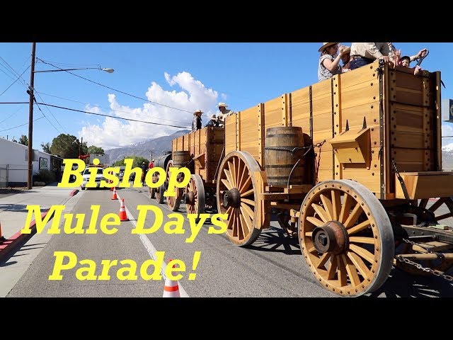 Borax Wagon's First Complete Appearance at 50th Anniversary of Bishop Mule Days!