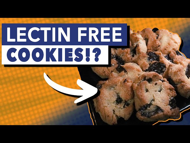 The BEST Lectin-Free Chocolate Chip Cookies Recipe