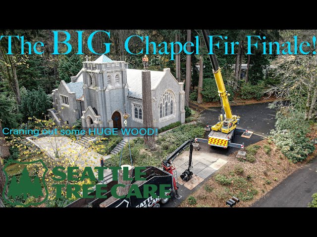 BIG CHAPEL FIR FINALE!!! Craning out some HUGE wood on a very old Douglas Fir with Seattle Tree Care