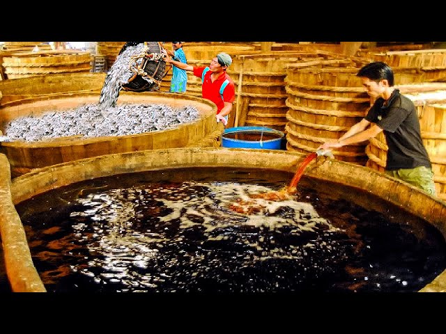Process Millions Fish to make Fish Oil, Fishmeal,Fish Sauce - Fish Oil Production Process in Factory