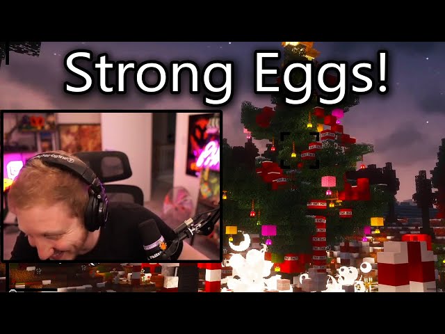 The eggs destroyed a Huge Christmas Tree!