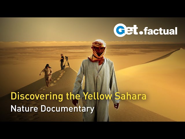 The Colors of the Desert - The Yellow Sahara | Nature Documentary