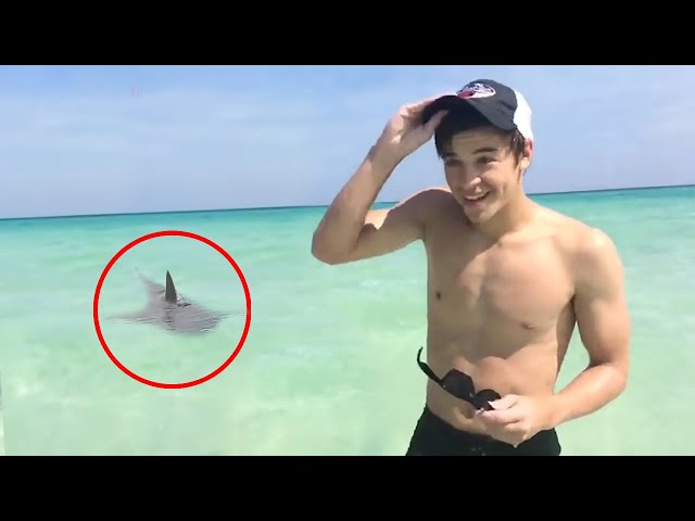 5 Shark Encounters You Should Avoid Seeing