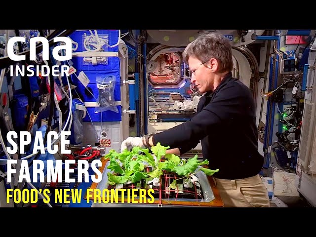 How Space Foods May Transform Farming On Earth | Space Farmers - Part 1/2