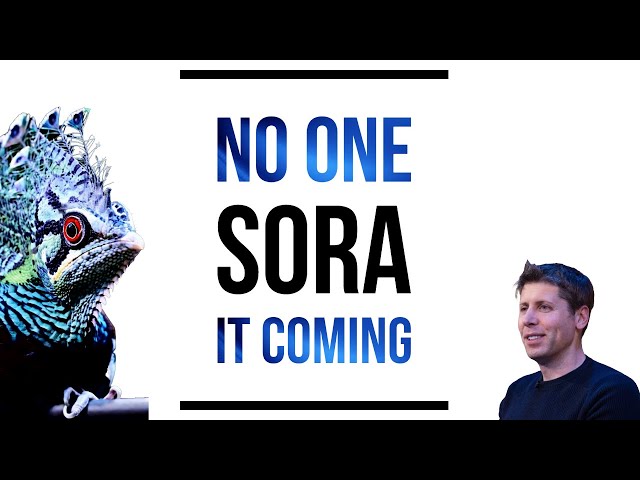 Sora - Full Analysis (with new details)