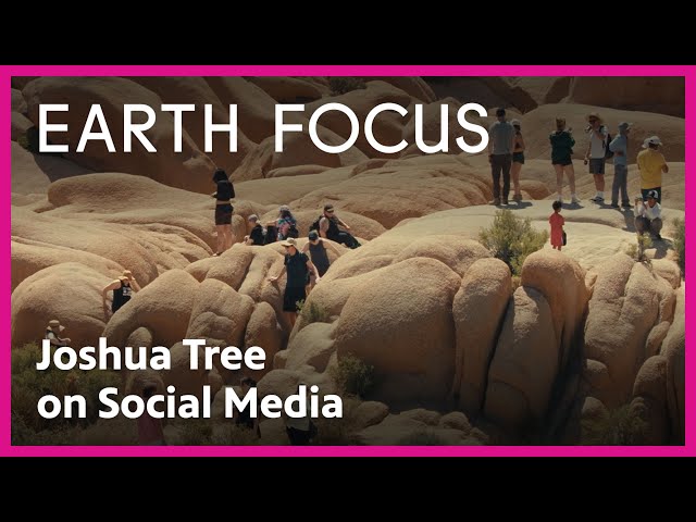 What Joshua Tree's Social Media Presence Means for Tourism | Earth Focus | PBS SoCal