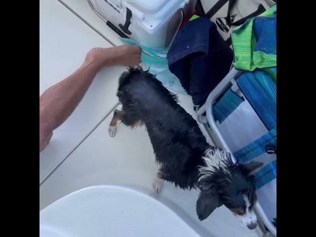 Matey takes a shower