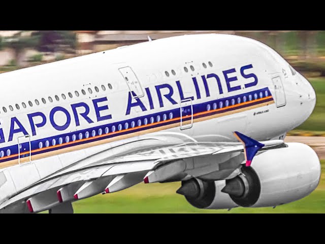 40 TAKEOFFS in 20 MINUTES from UP CLOSE | Singapore Changi Airport Plane Spotting [SIN/WSSS]