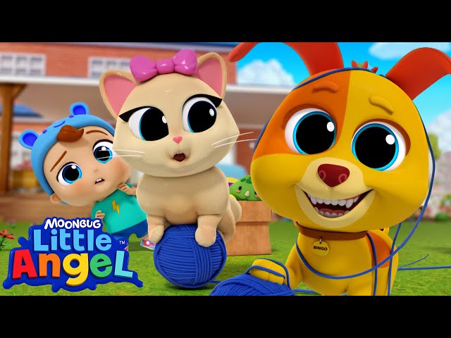 Bingo’s New Furry Friend! | @LittleAngel Kids Songs & Nursery Rhymes