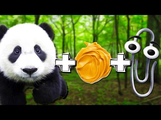 PANDA PEANUT BUTTER PAPERCLIP | Reading Your Comments #39