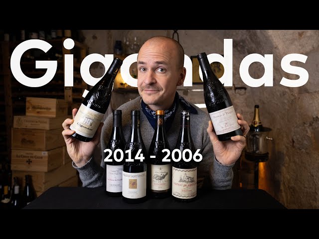 Gigondas - Master of Wine does Deep Dive and Vintage Wine Tasting