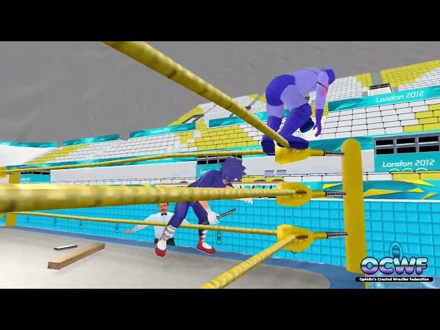 OCWF S0534  Sonic the Hedgehog VS Megaman
