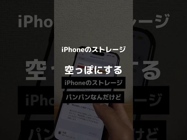 衝撃すぎた…#iPhone #ぷろぷろ #ストレージ