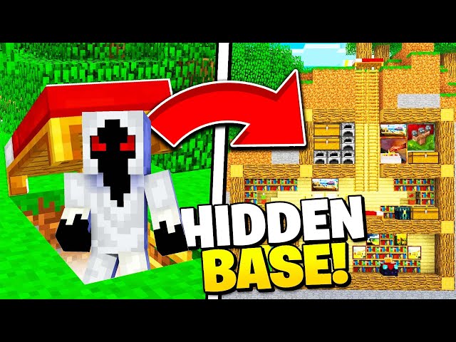 Hidden Base Challenge With Entity 303