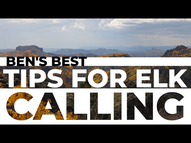 Elk Calling Tips