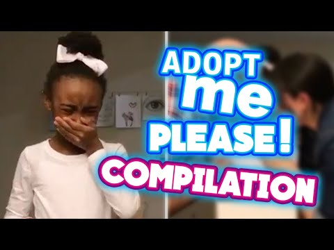The best Adoption surprise compilation that will melt your heart | All Things Internet