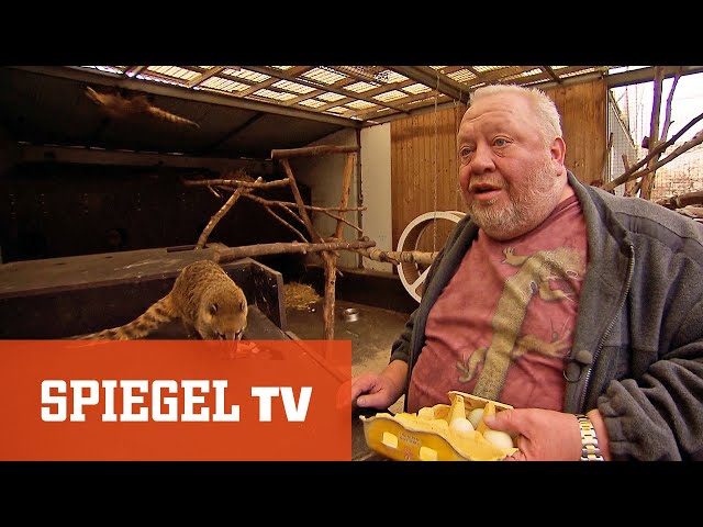 Der Supermarkt der Tiere (2/2) | SPIEGEL TV
