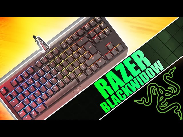 Razer Blackwidow Tournament Edition Chroma V2 Keyboard Review