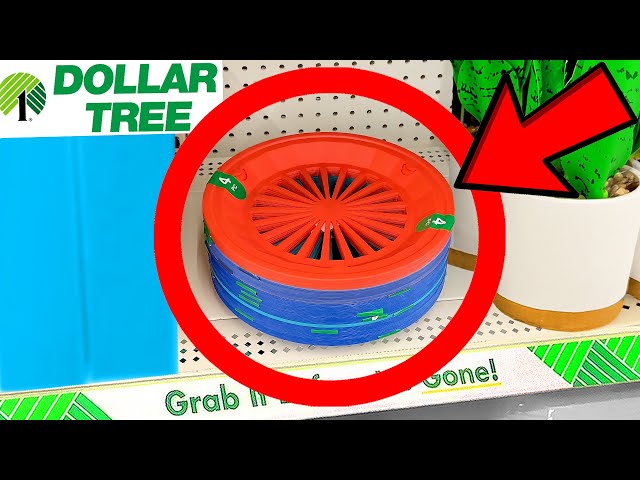 10 Things You SHOULD Be Buying at Dollar Tree in July 2023