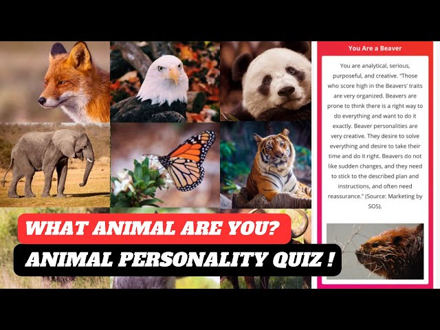 What animal are you | animal personality test | what animal am I quiz | animal in you trend tutorial
