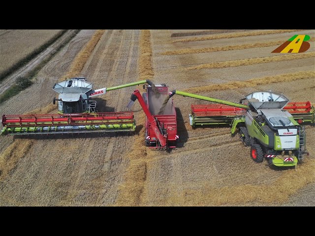 Getreideernte 2020 - Claas Lexion 770 & 780 im Großeinsatz - Lebensmittel aus der Landwirtschaft