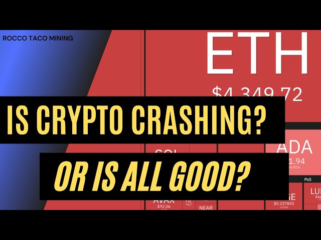 WARNING Is Bitcoin crashing or is all good