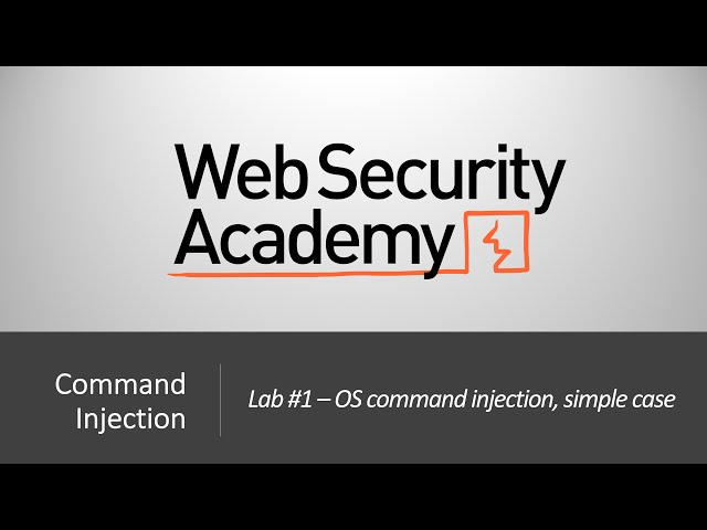 Command Injection - Lab #1 OS command injection, simple case | Long Version