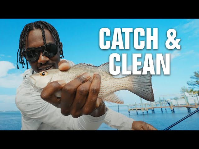 Cleaning Snapper TWO Ways! Catch & Clean | Inshore Fishing