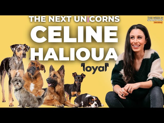 Next Unicorns: Developing drugs to extend dog lifespans with Loyal CEO Celine Halioua | E1799