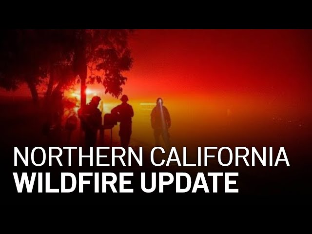 LIVE: Updates on California Wildfires, Evacuations [8/22 4:30 PM]