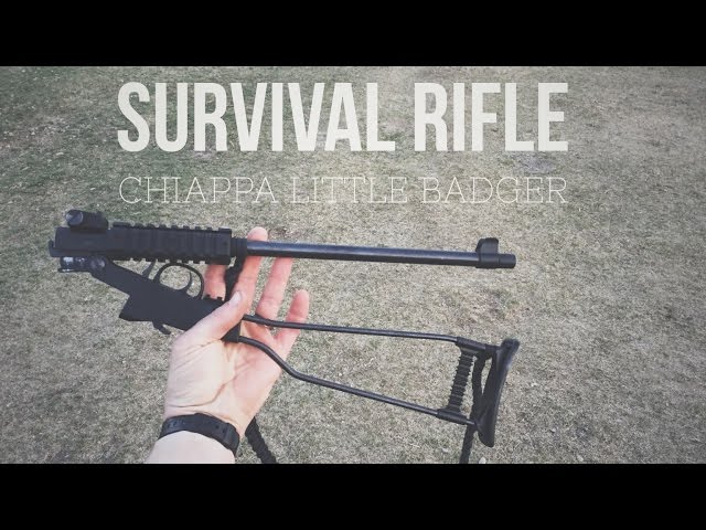 Chiappa Little Badger - Survival Gun Review - Day 16