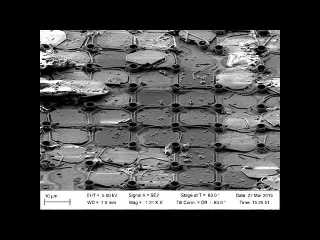 Flir Lepton electron microscope images