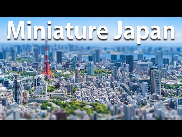 Most Popular Miniature in Japan