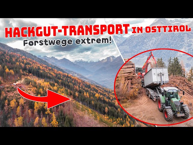 Hackgut-Transport in den Osttiroler Bergen | Forstwege Extrem ! | Fendt Cabwiev 🚜