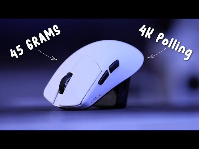 The BEST $100 Mouse in 2024?
